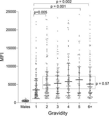 The Development, Fine Specificity, and Importance of High-Avidity Antibodies to VAR2CSA in Pregnant Cameroonian Women Living in Yaoundé, an Urban City